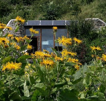 Earthship Flowers picture