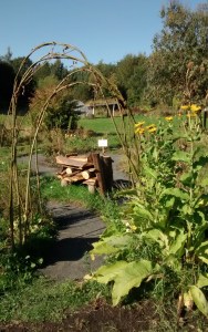 Life Labyrinth picture